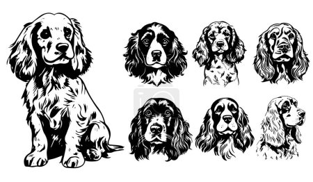 Conjunto de cabezas de perro Cocker Spaniel, ilustraciones vectoriales en blanco y negro