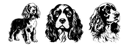 Illustration for Cocker Spaniel dog heads set, black and white vector illustrations - Royalty Free Image