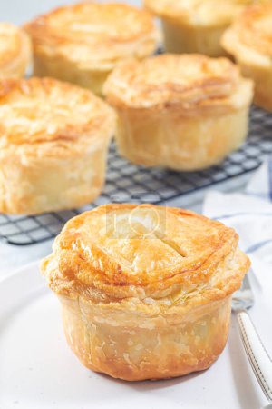 Photo for Small beef pot pies on a plate and cooling rack, vertical - Royalty Free Image