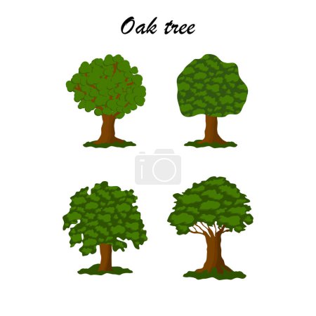 Téléchargez les illustrations : Oak tree icon set, flat style vector illustration - en licence libre de droit