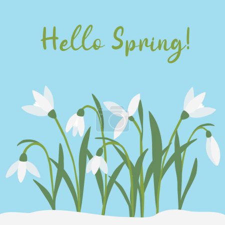 Ilustración de Tarjeta de felicitación con gotas de nieve flores de primavera, Hola texto de primavera, ilustración vectorial - Imagen libre de derechos
