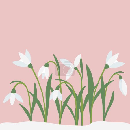 Ilustración de Tarjeta de felicitación con gotas de nieve flores de primavera sobre fondo rosa, lugar para el texto, ilustración vectorial - Imagen libre de derechos