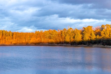 Photo for A beautiful little lake called Oberwaldsee during blue hour in Germany at a sunny day in Autumn with a colorful forest reflecting in the water. - Royalty Free Image