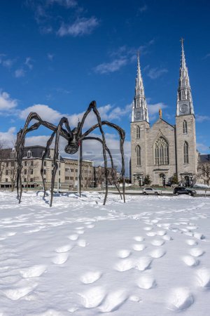 Foto de Ottawa, Canada - February 08th 2023: A german photographer discovering Majors Hill Park in downtown Ottawa with view to the national gallery of Canada - Imagen libre de derechos