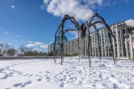 Foto de Ottawa, Canadá - 08 de febrero de 2023: Un fotógrafo alemán descubre el Parque Majors Hill en el centro de Ottawa con vistas a la galería nacional de Canadá. - Imagen libre de derechos