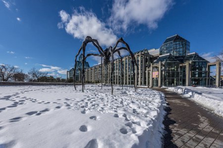 Foto de Ottawa, Canada - February 08th 2023: A german photographer discovering Majors Hill Park in downtown Ottawa with view to the national gallery of Canada. - Imagen libre de derechos