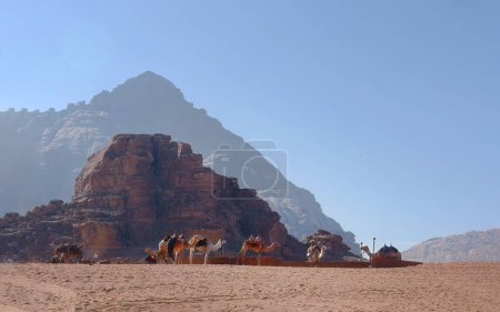 Téléchargez les photos : Caravane bédouine avec chameaux assis dans le désert de sable rouge de Wadi Rum Jordan, site du patrimoine mondial de l'UNESCO, parc national en plein air, aventure de voyage - en image libre de droit