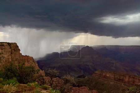 Foto de Una foto dramática de una tormenta monzónica cayendo un muro de lluvia sobre el Gran Cañón en una tarde de agosto, como se ve cerca de Lipan Point en el borde sur del cañón en Arizona, EE.UU.. - Imagen libre de derechos