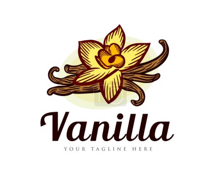 Illustration for Vanilla art drawn vintage logo template illustration inspiration - Royalty Free Image