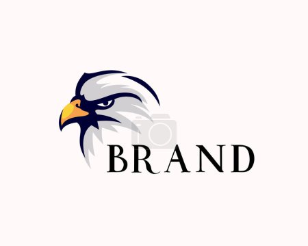 Illustration for Eagle falcon hawk face view stare drawn art logo design template illustration - Royalty Free Image