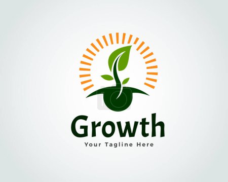 abstract seed grow under sun logo symbol icon design template illustration inspiration