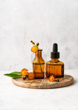 Photo for Herbal oil (tincture, remedy, infusion) in glass bottles with fresh flowers. Spa or Herbal medicine concept. Copy space. Selective focus.(Hieracium aurantiacum) - Royalty Free Image