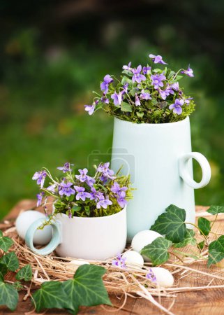 Vintage floristic arrangement with sweet violet flowers in ceramic teapot and cup decorated with eggs. (Viola odorata) Garden decoration for eastern. Rustic style. Copy space.
