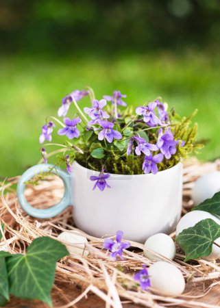 Beautiful easter floristic arrangement with sweet violet flowers in a ceramic cup decorated with eggs. (Viola odorata) Spring garden decoration. Rustic style. Copy space.