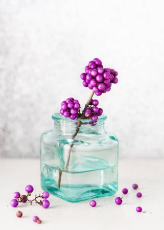 Amazing bouquet of branch with purple beauty berries in a mini turquoise glass vase. Romantic minimal floral still life. Copy space. (Callicarpa bodinieri)