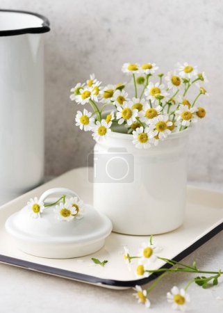 Beautiful bouquet of white wild chamomile herb flowers. Aromatherapy, phytotherapy, alternative medicine, spa and massage concept. (Matricaria chamomilla)