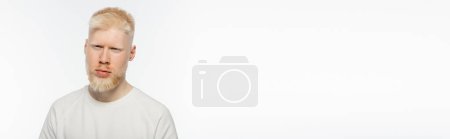 bearded and serious albino man in t-shirt looking at camera isolated on white, banner 