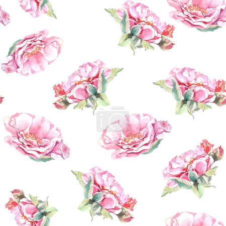ornamento patrón sin costuras con rosas rosadas sobre fondo blanco