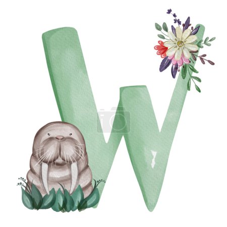 Animal nursery alphabet. W is for Walrus. Hand drawn watercolor alphabet letters