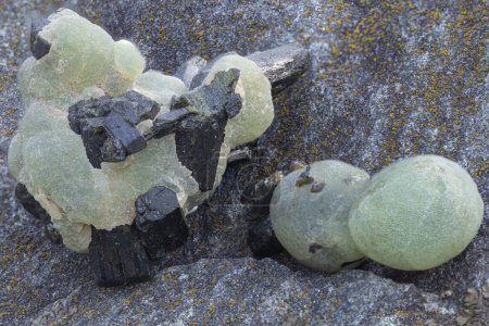 Téléchargez les photos : Prehnite mineral specimen stone, rock geology, mineral collection - en image libre de droit