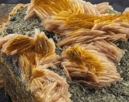 Photo for Barite mineral specimen, collectible mineral - Royalty Free Image