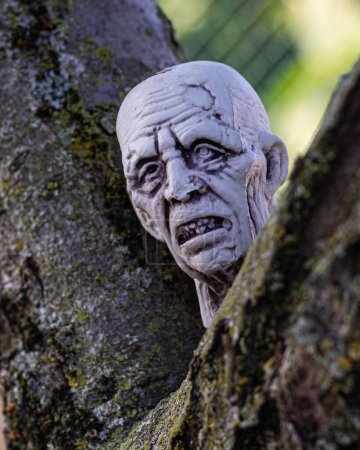 Photo for Elevate your Halloween decorations with a lifelike plastic zombie head nestled in the grass, creating an eerie ambiance for your spooky festivities - Royalty Free Image