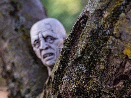 Téléchargez les photos : Élevez vos décorations d'Halloween avec une tête de zombie en plastique réaliste nichée dans l'herbe, créant une ambiance étrange pour vos festivités effrayantes - en image libre de droit