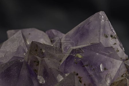 Photo for Vivid Amethyst Quartz Stones in Detailed Macro View on Dark Surface - Royalty Free Image