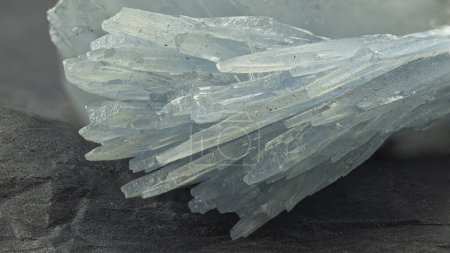 Foto de Macro plano de formación de cristal de barita con hojas translúcidas sobre fondo oscuro - Imagen libre de derechos