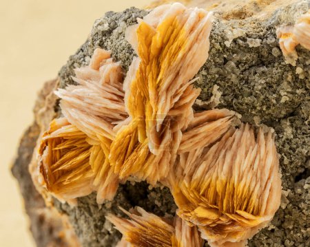 Foto de Primer plano de mineral de barita fibrosa con texturas delicadas y variaciones de color dorado - Imagen libre de derechos