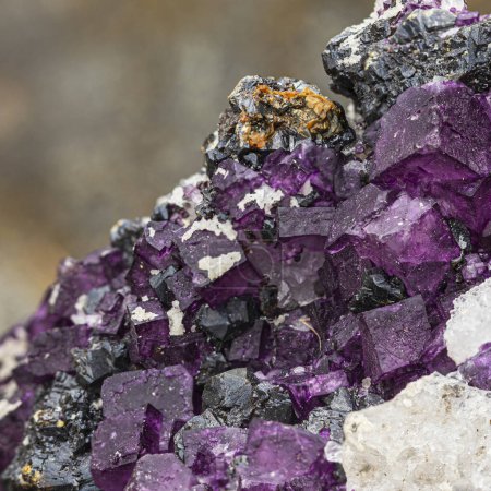 Macro shot of vivid purple fluorite crystals with rich color contrast on a dark background