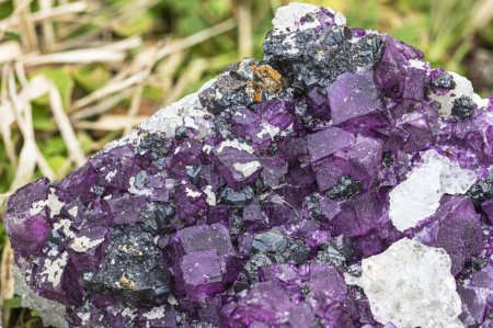 Macro disparo de cristales de fluorita púrpura vivos con rico contraste de color sobre un fondo oscuro