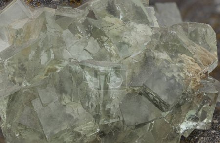 Translucent green fluorite crystals on matrix close-up natural mineral background