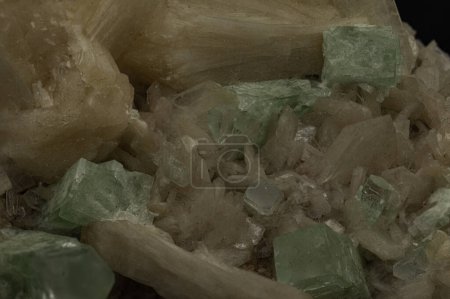 Leuchtende Apophyllit-Kristalle erheben sich inmitten des warmen Schimmers der Stelzenläufer und schaffen eine Miniaturlandschaft mineralogischen Wunders