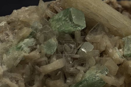 Gleaming apophyllite crystals rise amidst the warm glow of stilbite, creating a miniature landscape of mineralogical wonder
