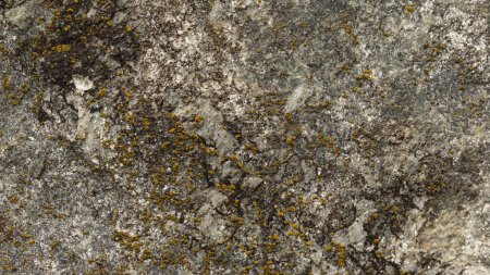 Nahaufnahme einer strukturierten Felsoberfläche mit komplizierten Mustern aus Moos und Flechten, die eine Mischung aus grauen, grünen und gelben natürlichen Erdtönen aufweisen