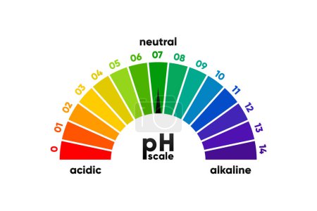 Ilustración de PH scale meter for acidic and alkaline solutions. Acid-base balance scale. Chemical test. Vector illustration - Imagen libre de derechos