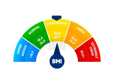 Téléchargez les photos : Body mass index. Weight loss concept. BMI scale. Before and after diet and fitness. Healthy lifestyle. Vector illustration - en image libre de droit