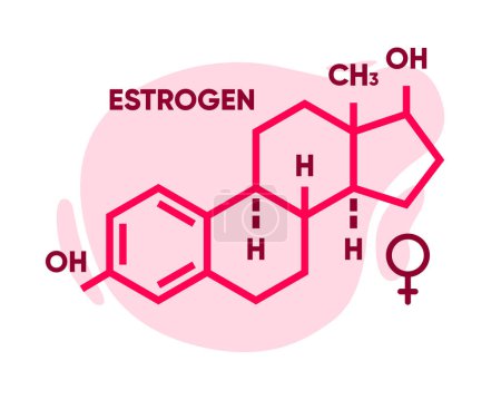Símbolo de estrógeno. Logo de fórmula esquelética. Fórmula química molecular de la hormona sexual. Hormona sexual femenina. Ilustración vectorial