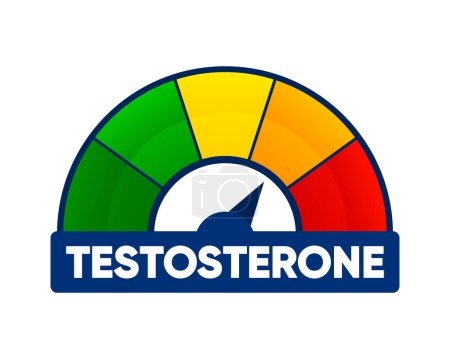 Medidor de testosterona. Escala de medición de nivel hormonal. Fórmula química molecular de la hormona sexual. Hormona sexual masculina. Ilustración vectorial