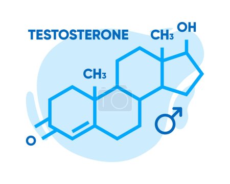 Symbol für Testosteron. Skelettformel Logo. Molekularchemische Formel des Sexualhormons. Männliches Sexualhormon. Vektorillustration