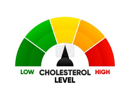 Téléchargez les illustrations : Compteur de taux de cholestérol avec test faible et élevé en gras. Risque sanguin. Indicateur de niveau de cholestérol avec flèche. Illustration vectorielle - en licence libre de droit