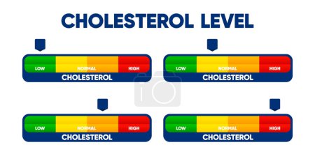 Téléchargez les illustrations : Compteur de taux de cholestérol avec test faible et élevé en gras. Risque sanguin. Indicateur de niveau de cholestérol avec flèche. Illustration vectorielle - en licence libre de droit