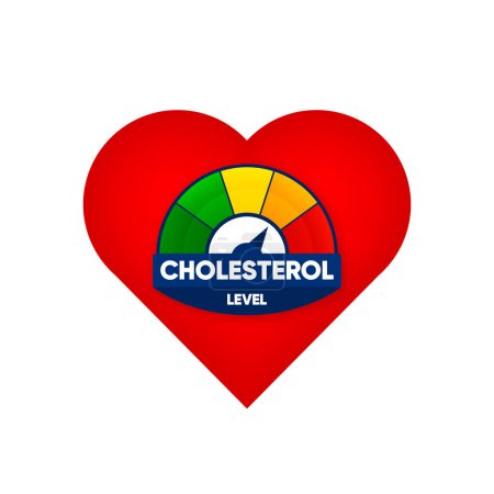 Téléchargez les illustrations : Compteur de taux de cholestérol avec test faible et élevé en gras. Le cœur pompe le sang. Risque sanguin. Indicateur de niveau de cholestérol avec flèche. Illustration vectorielle - en licence libre de droit