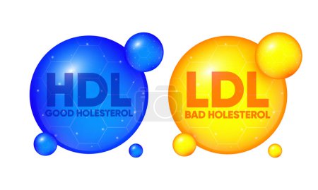 HDL bueno y colesterol LDL malo. Lipoproteína de alta densidad y baja densidad. Burbuja de diseño 3D aislada sobre fondo blanco. Problema de enfermedades cardiovasculares. Ilustración vectorial