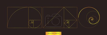 Illustration for Golden ratio. Figure in golden proportion. Geometric shapes. Minimalistic style. Vector illustration - Royalty Free Image