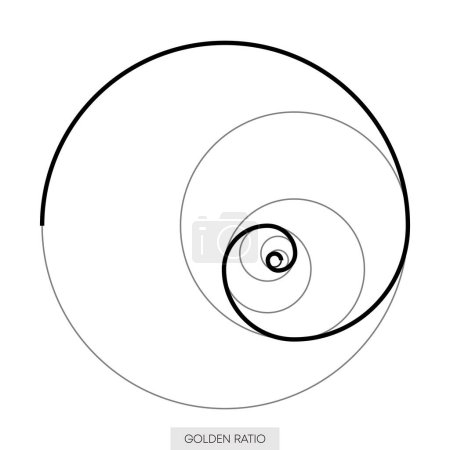 Illustration for Golden ratio. Circles in golden proportion. Geometric shapes. Minimalistic style. Vector illustration - Royalty Free Image