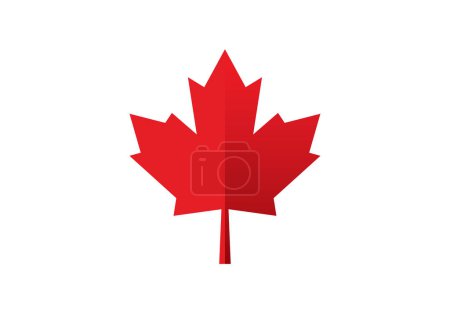 Illustration for Maple leaf icon vector illustration on background - Royalty Free Image