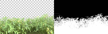Téléchargez les photos : Herbe isolée sur fond avec masque. rendu 3d - illustration - en image libre de droit