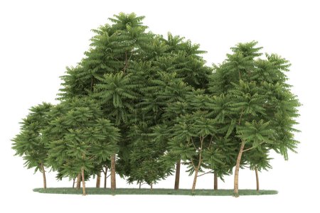 Téléchargez les photos : Realistic forest isolated on white background. 3d rendering - illustration - en image libre de droit